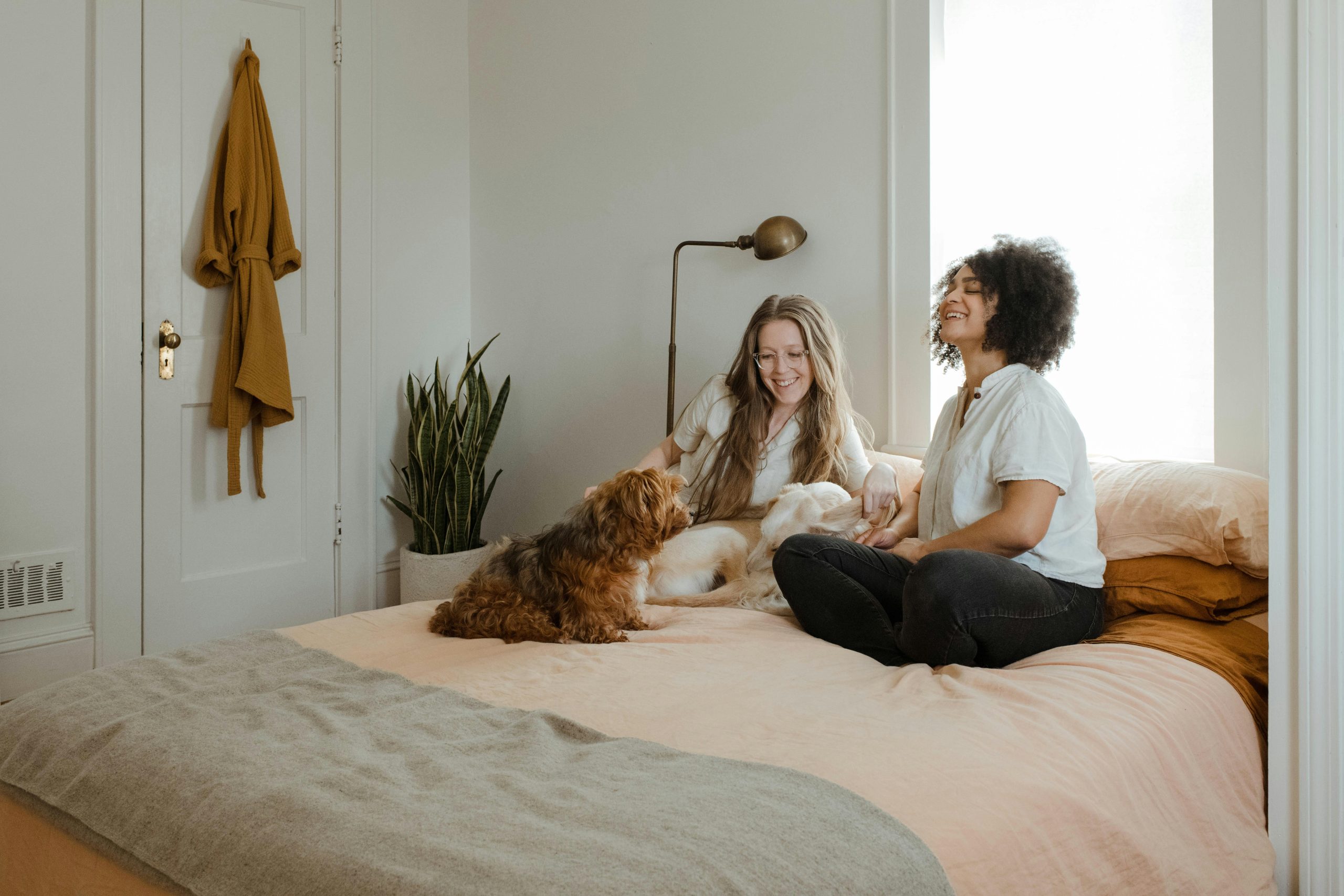Healthy pet nutrition?>